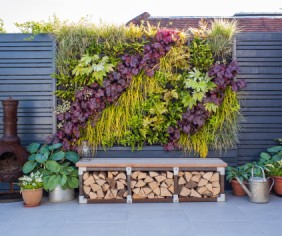 How to create a green, living wall