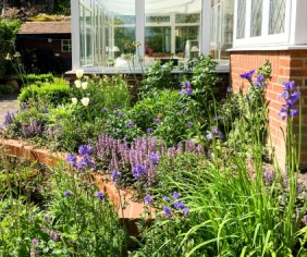 Eight ways to heat proof your garden